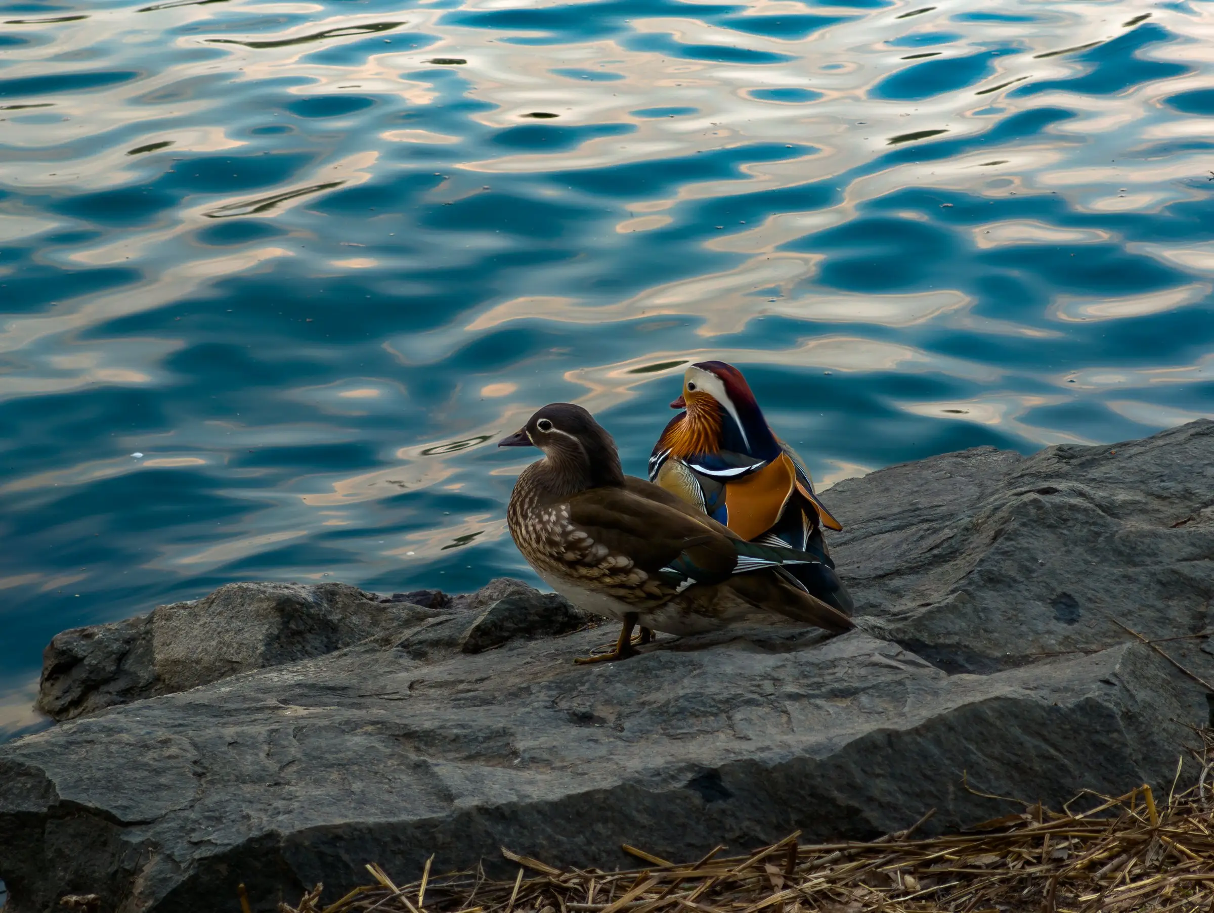 Concrete Jungle urban photograph