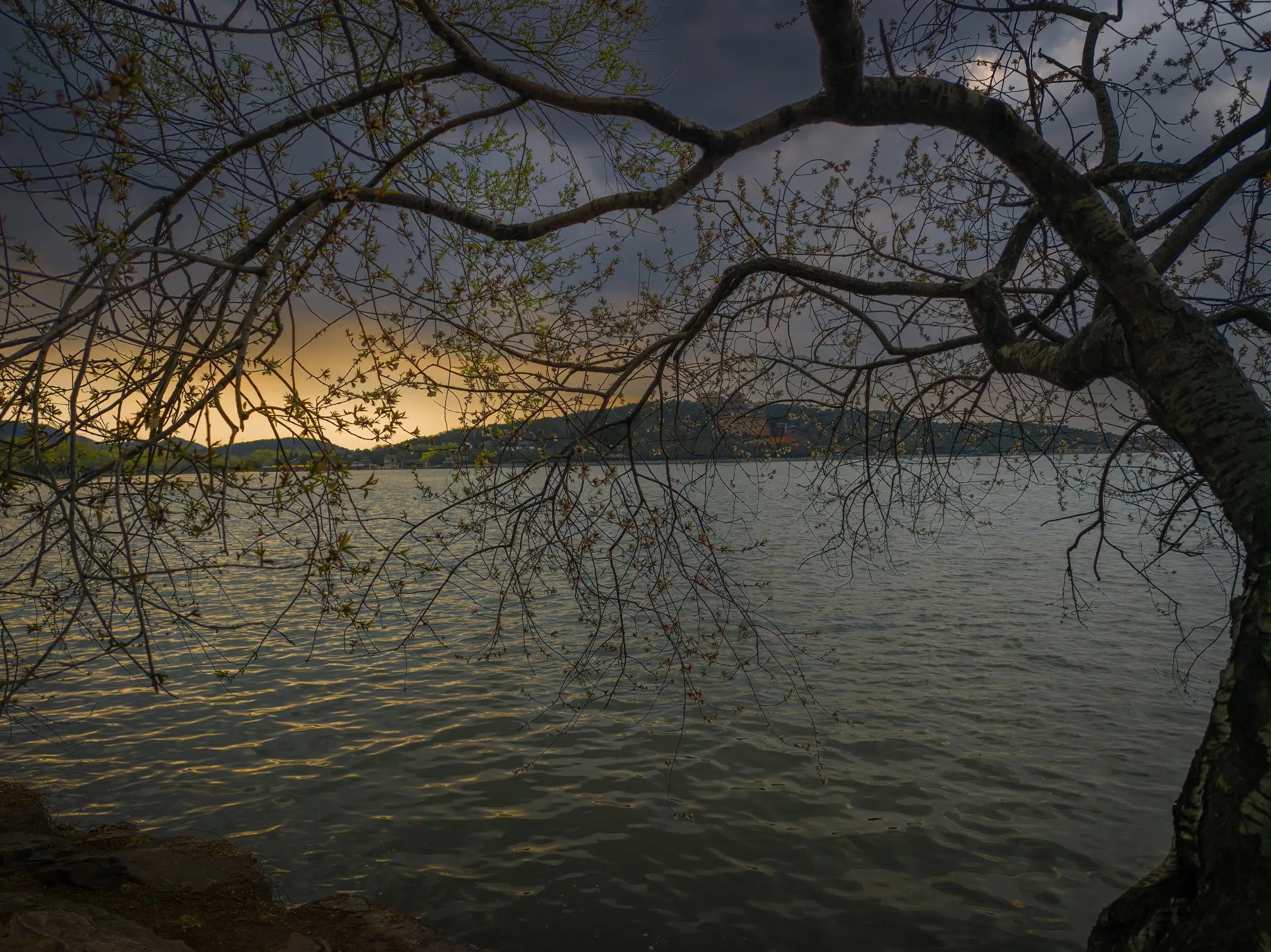 Full-bleed photography break